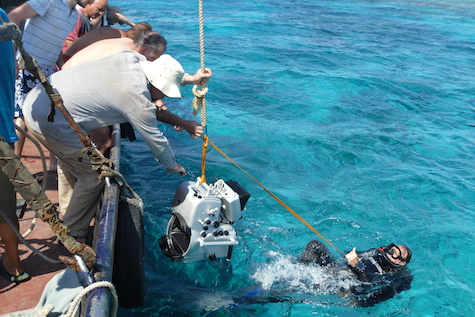 the film crew underwater